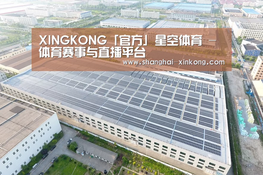 案例展示一