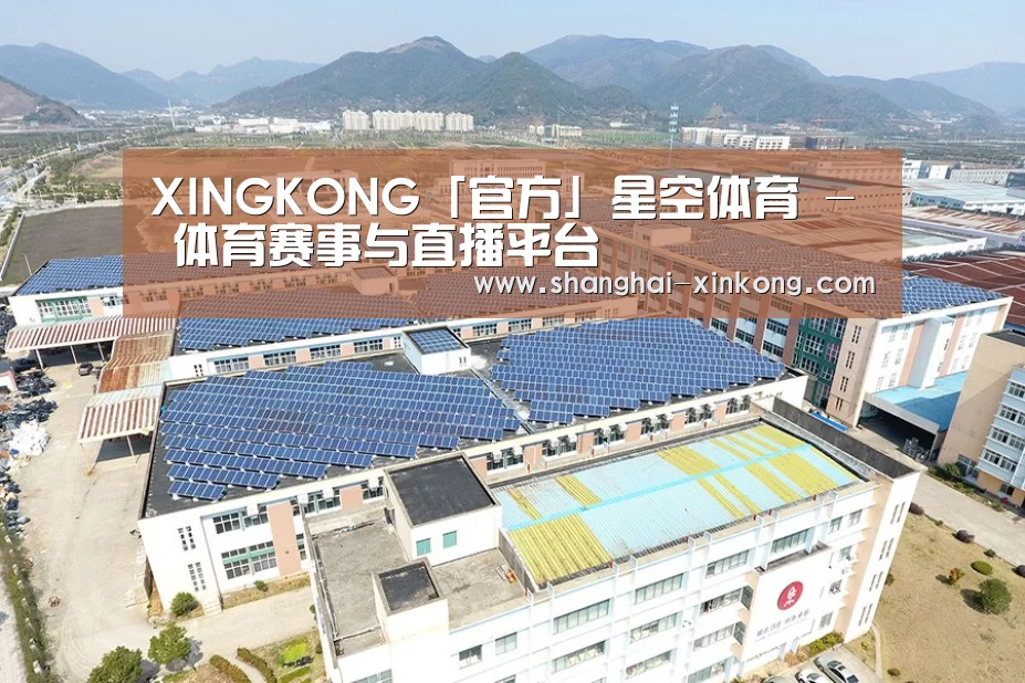 案例展示一