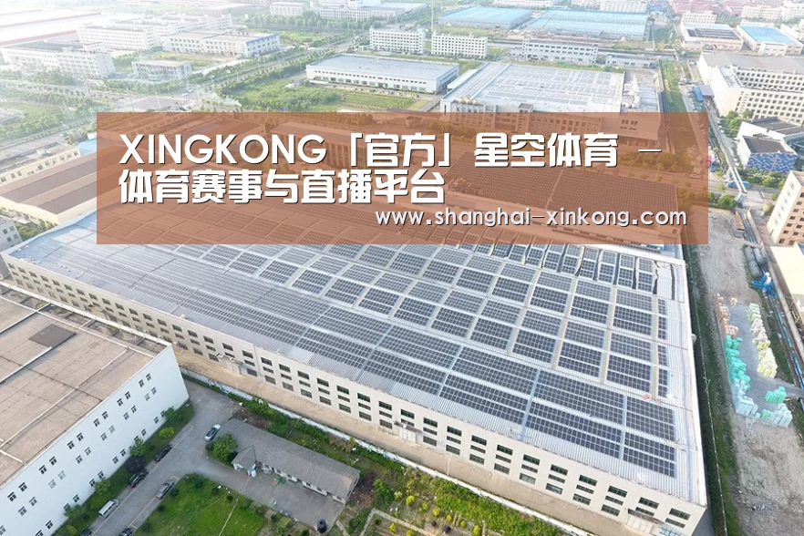案例展示四